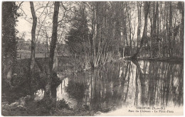 CPA DE ORGEVAL  (YVELINES)  PARC DU CHÂTEAU  -  LA PIÈCE D'EAU - Orgeval