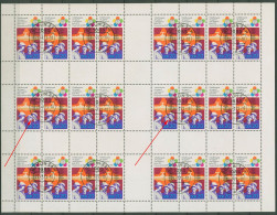 DDR MH-Bogen 1973 Weltfestpiele Plattenfehler MHB 17 D I Gestempelt - Postzegelboekjes
