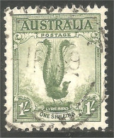 151 Australia 1936 Oiseau Lyre Male Lyrebird (AUS-341) - Sonstige & Ohne Zuordnung