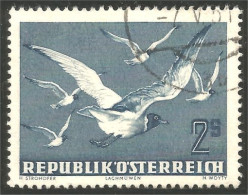 154 Austria 1950 Gulls Mouettes (AUT-463) - Sonstige & Ohne Zuordnung