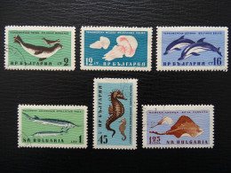 Bulgarien Mi 1243-1248 , Tiere Im Schwarzen Meer , Gestempelt - Used Stamps