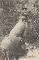 Cpa Pyrénées Un Jeune Berger Et Son Favori - Midi-Pyrénées