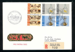 Bundesfeier - Pro Patria 1993 - Fête Nationale - 01 08 1993 - 2000 Neuchatel - Bundesfeier 001/51 - Storia Postale