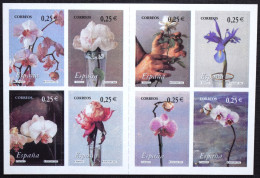 España Spain 2002  Eduardo Naranjo  La Flor Y El Paisaje  Mi MH11  Yv C3434  Edi 3869C  Nuevo New MNH ** - Altri & Non Classificati