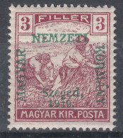 Hungary Szegedin Szeged 1919 Mi#7 Mint Hinged - Szeged