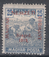 Hungary Szegedin Szeged 1919 Mi#12 Mint Hinged - Szeged