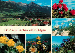 73127586 Fischen Allgaeu Gesamtansicht Mit Alpenpanorama Alpenflora Edelweiss En - Fischen