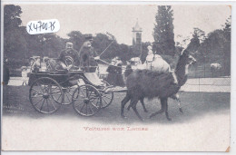 PARIS- VOITURES AUX LAMAS - Parcs, Jardins