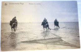 BELGIQUE / FLANDRE OCCIDENTALE / OOSTDUINKERKE  PLAGE / PECHEURS DE CREVETTES A CHEVAL - Oostrozebeke