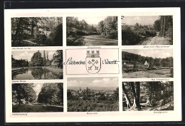 AK Lübbecke I. Westf., Waldpartie, Alte Brücke Im Tal, Wilhelmplatz  - Luebbecke