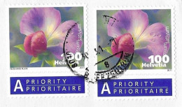 SUISSE 2011 LETTRE TIMBRES AUTOCOLLANT FLEURS DE PETIT POIS, PISUM SATIVUM, VOIR LES SCANNERS - Briefe U. Dokumente