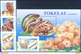 Conchiglie 1996. - Tokelau