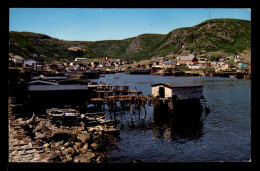 CANADA - PETTY HARBOUR - Autres & Non Classés