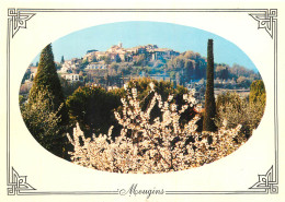 06 MOUGINS  - Mougins