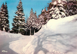 NATURE NEIGE ET SOLEIL  REGION  - Rhône-Alpes