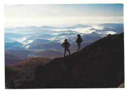 Linville Top Of Grandfather Mountain Photo Card North Carolina USA Htje - Andere & Zonder Classificatie