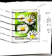 Finlande Poste Obl Yv:1262 Mi:1296 Chrysanthemum Leucanthemum (TB Cachet Rond) Sur Fragment - Otros & Sin Clasificación