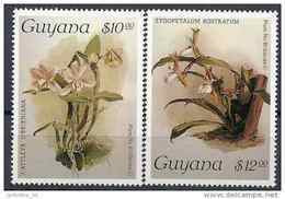 1987 GUYANA 1786-87** Fleurs,  Orchidées - Guyane (1966-...)