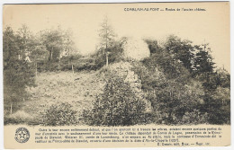 COMBLAIN-AU-PONT : Restes De L'ancien Château - Comblain-au-Pont