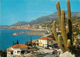 Fleurs - Plantes - Cactus - La Cote D'Azur - Menton - Vue Sur Le Nouveau Port Au Fond La Vieille Ville Et Le Cap Martin  - Cactus
