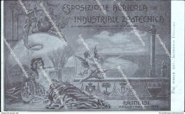 Cg610 Cartolina Brindisi Esposizione Agricola Industriale Zootecnica 1909 - Brindisi