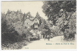 ESNEUX : Entrée Du Fond Du Mary - Attelage - 1905 - Esneux