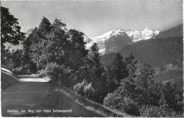 Hohfluh Am Weg Zum Hotel Schweizerhof 1957 Selten - Hasliberg