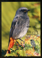 ANDORRA Correos (2023) Carte Maximum Card - Fauna Cotxa Fumada, Phoenicurus Ochruros, Black Redstart, Rougequeue Noir - Sonstige & Ohne Zuordnung