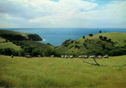 KANGAROO ISLAND - Soulth Australia - Kangaroo Islands