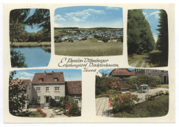 Delcampe - 5421 Dachsenhausen Taunus Pension Dillenberger Erholungsort - Loreley