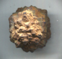 Nouveau - Très Belle Marcassite (diam Env 25 Mm) - 161 Carats - Minerals