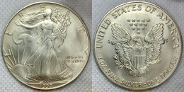 2832 ESTADOS UNIDOS 1992 UNITED STATES DOLLAR EAGLE LIBERTY 1992 1 DOLLAR ONE - Sonstige & Ohne Zuordnung