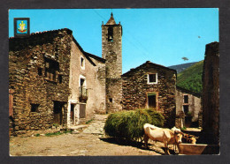 Espagne - N° 2242 - SETCASES Rincon De Montana - Coin De Montagne - Le Village Et Attelage De Boeufs à L'abreuvoir - Autres & Non Classés