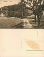 Ansichtskarte Diesbar (Elbe)-Nünchritz (Elbe) Partie Am Elbweindorf 1924 - Diesbar-Seusslitz