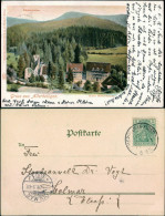 Ansichtskarte Oppenau Hotel Mittenmayer - Allerheiligen 1901  - Oppenau