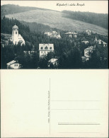 Ansichtskarte Kipsdorf-Altenberg (Erzgebirge) Blick Auf Die Stadt 1909 - Kipsdorf
