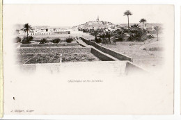 36395 / ⭐ Vallée Mzab Algerie GHARDAIA Les JARDINS Potagers 1890s GEISER 9 Algeria Algerien Argelia Algerije - Ghardaïa