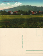 Ansichtskarte Collm-Wermsdorf Ort Mit Collmberg 1913 - Wermsdorf