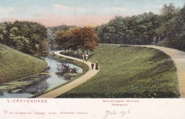 4858123's Gravenhage, Scheveningsche Boschjes Waterpartij 1905.  - Den Haag ('s-Gravenhage)