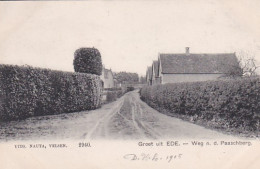 4858161Ede, Weg N. D.  Paaschberg 1905. Groet Uit Ede. (kanten Afgeknipt ?)  - Ede