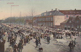 486134Hoorn, Beestenmarkt. (kleine Vouwen Zie Achterkant)  - Hoorn