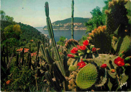 Fleurs - Plantes - Cactus - La Cote D'Azur - Ses Jardins - CPM - Voir Scans Recto-Verso - Cactusses