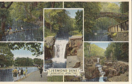 CA76. Vintage Postcard. Multiview Of Jesmond Dene, Newcastle Upon Tyne - Newcastle-upon-Tyne