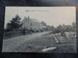 Harre - "Manhay" - Une Vue De La Fange - Fontaine Et Abreuvoir - Ed: Bonmariage - 2 Scans - Manhay