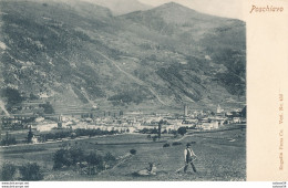 SUISSE - SVIZZERA - SCHWEIZ - POSCHIAVO - Panorama (dos Non Divisé) - Poschiavo