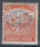 Hungary Debrecen Debreczin 1919 Magyar Posta Mi#71 Mint Hinged - Debrecen