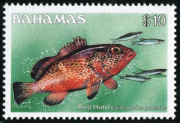 FAU2 Bahamas 623 Fauna MNH - Bahamas (1973-...)