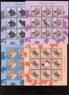 Label Transnistria 2024  Cat Breeds Cats 4Sheets**MNH   Imperforated - Vignettes De Fantaisie