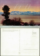 Höchenschwand Blick Auf Die Schweizer Alpenkette Panorama-Ansicht 1960 - Hoechenschwand