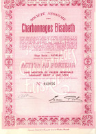 Société Anonyme Des Charbonnages Elisabeth - Action Au Porteur - Auvelais - Sambreville - 1947. - Mines